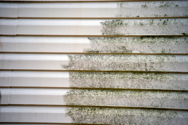 How To Choose The Right Materials for Your Siding Installation in 'Scenic Oaks, TX